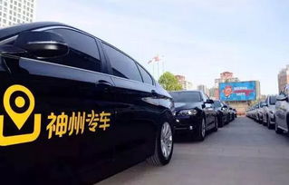 神州租車前三季業(yè)績大增 汽車租賃量飆升65%，出租率達歷史高位